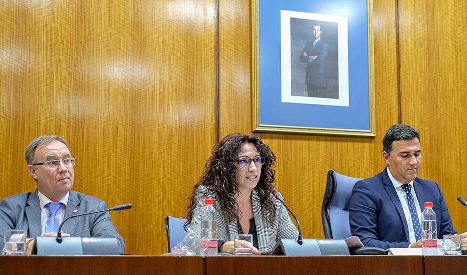 La consejera de Igualdad, Políticas Sociales y Conciliación, Rocío Ruiz, en una comisión parlamentaria.